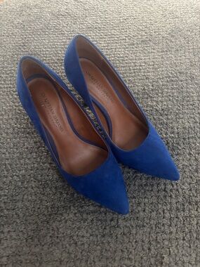 Christian Siriano Royal Blue Pointed Suede Pumps